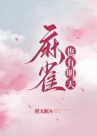 小说